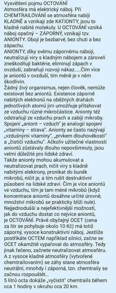 octovani.jpg
