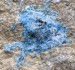 M09 (5)